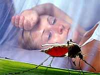 A malária não é apenas uma doença, mas também a ciência