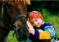 ¡El caballo trata la parálisis cerebral, la esclerosis y la prostatitis!