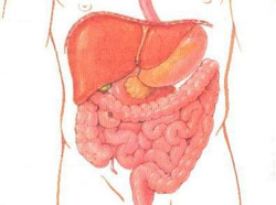 Intestinal cleansing methods how to clean the intestine
