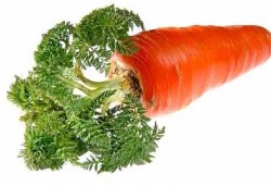 Dieta, sovrappeso, dieta di carota, verdure, dimagrante